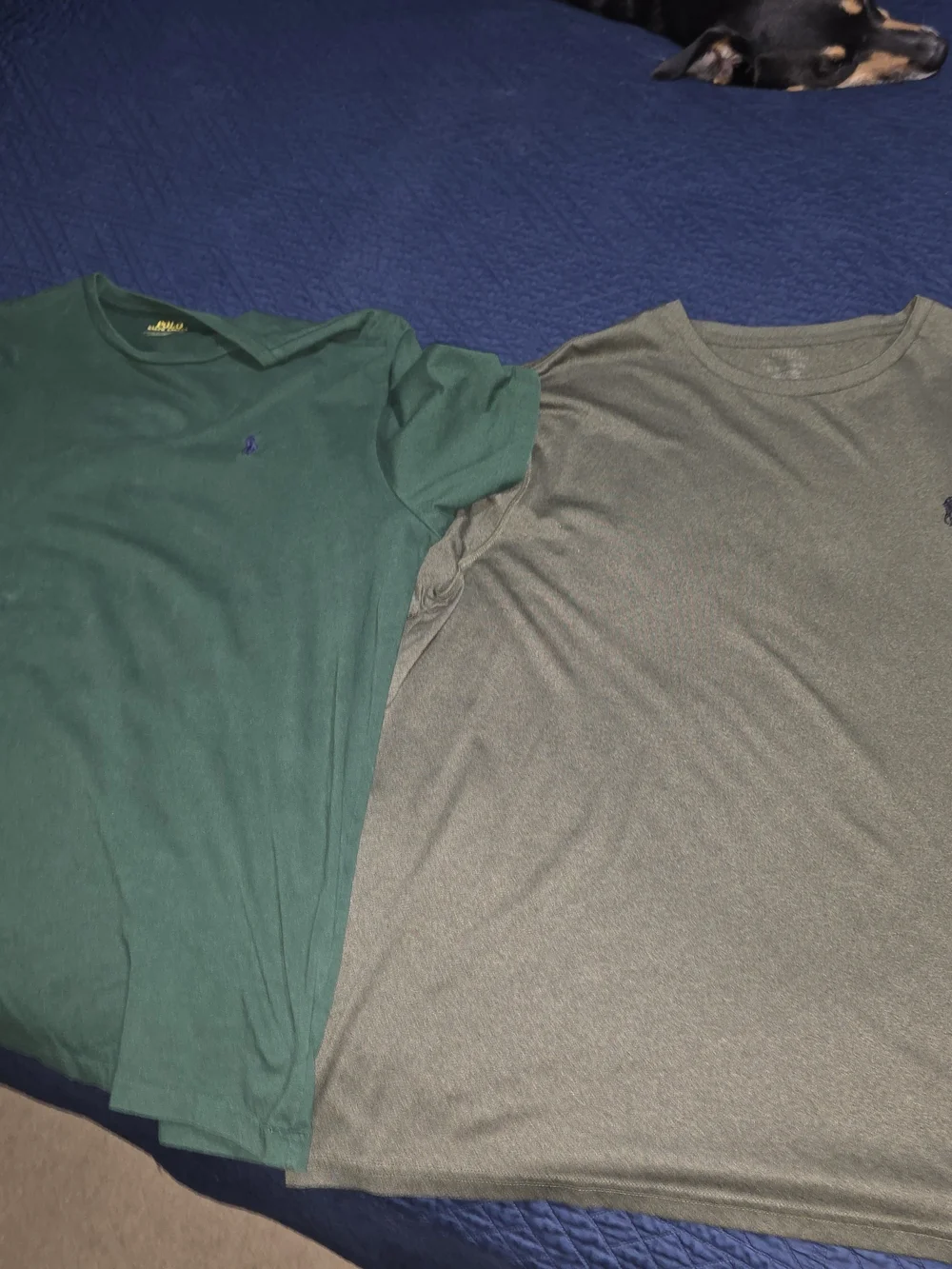 2pc Polo by Ralph Lauren Men’s Short Sleeve Tees - Green & Sage Xlarge & Large